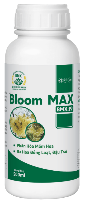 BMX 19 SUPER BLUM 500ML