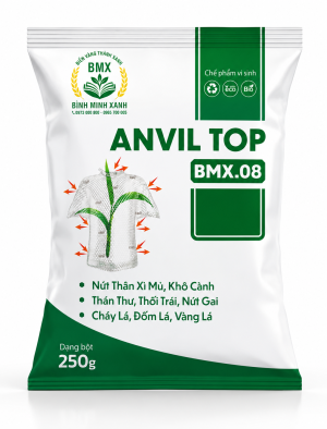 *Nứt thân, xì mủ , khô cành ,thán thư, thối trái ,nứt gai * Đốm lá, cháy lá, vàng lá, gỉ sắt, phấn trắng